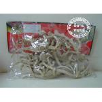 โครงกระดูกไดโนเสาร์