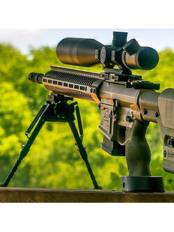 ขาทรายสปริง