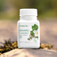 กรีนทีพลัส Nutrilite Slimmetry Dietary Supplement Enhance Weight Loss อาหารเสริม ลดน้ำหนัก ปลอดภัย ไม่โยโย้ Amway USA