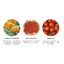 Nutrilite Vision Health สูตรใหม่ วิตามินบำรุงสายตา ป้องกันการเกิดต้อกระจก ลดความเสี่ยงจอประสาทตาเสื่อม ปกป้องแสงสีฟ้า