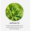 NUTRILITE Lean Muscle (CLA500) ช่วยลดน้ำหนักอย่างปลอดภัย ไม่โยโย้ เร่งการเผาผลาญไขมัน ผลิตจากดอกคำฝอย 100% Amway USA