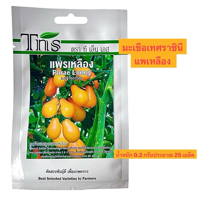 tns เมล็ด มะเขือเทศ ราชินี แพรเหลือง (ประมาณ 25 เมล็ด)