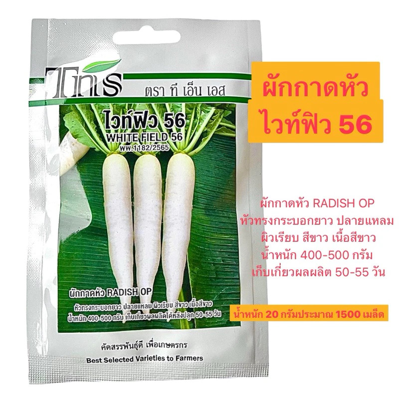 tns เมล็ด ผักกาดหัว ไวท์ฟิว 56 (20 กรัม ประมาณ 1500 เมล็ด)