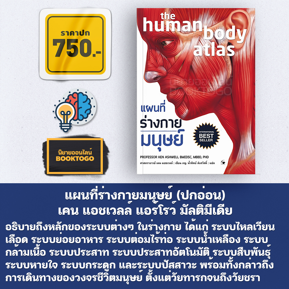 (พร้อมส่ง) แผนที่ร่างกายมนุษย์ (ปกอ่อน) เคน แอชเวลล์ แอร์โรว์ มัลติมีเดีย