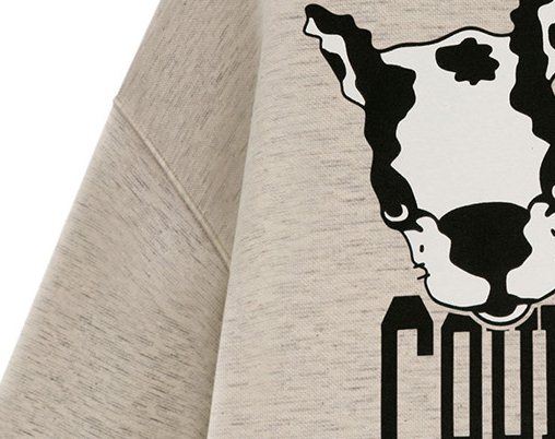 PreOrderคนอ้วน - เสื้อกันหนาวแฟชั่น ไซส์ใหญ่ คนอ้วน เสื้อยืดกันหนาว พิมพ์ลายน้องหมาที่หน้าอก สี : เขียว / ชมพู / แอปริคอท (เบจ)