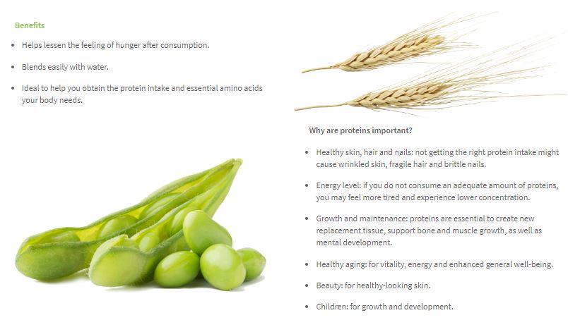 NUTRILITE Soy Protein Drink Mix - Green Tea Flavor (450g) โปรตีนชาเขียว