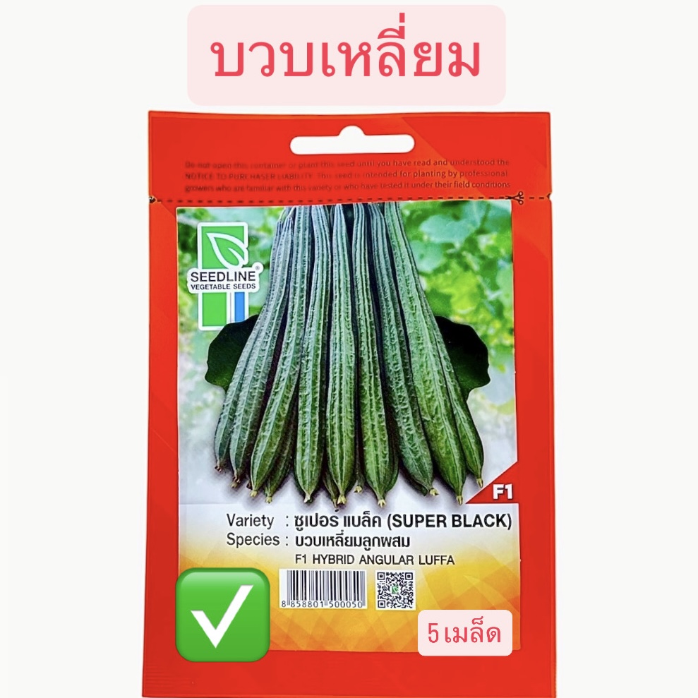 บวบเหลี่ยม ซุปเปอร์แบล็ค (5 เมล็ด)