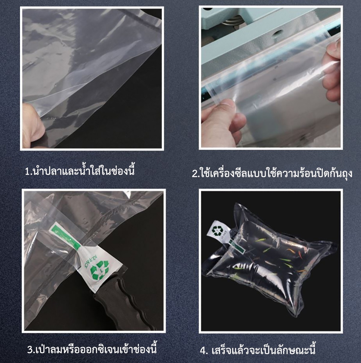 ถุงใส่ปลาพองลม (สำหรับขนส่ง) แพ็ค 10 ชิ้น