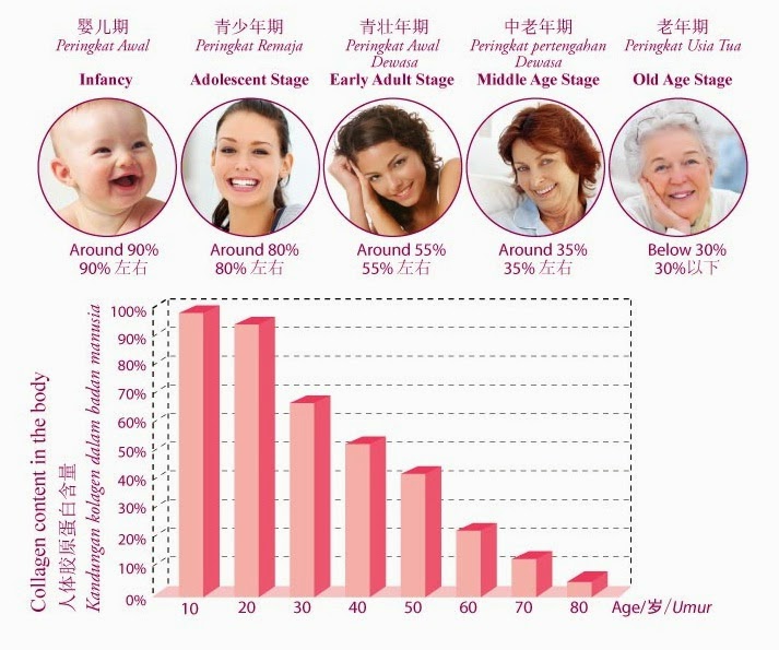 ตารางคอลลาเจนในช่วงอายุ