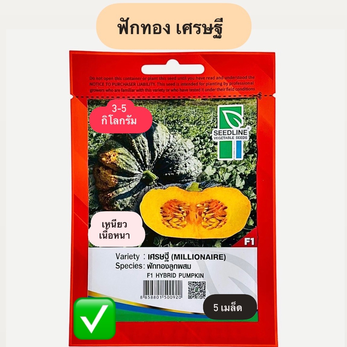 ฟักทอง เศรษฐี (5 เมล็ด)