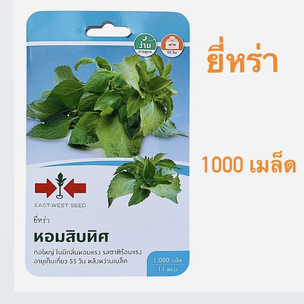 ศรแดง ยี่หร่า หอมสิบทิศ (1000 เมล็ด)