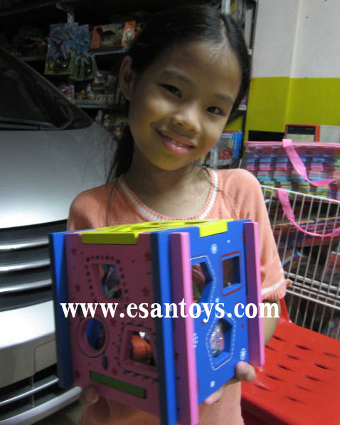 บล็อคหยอดไม้5ด้าน