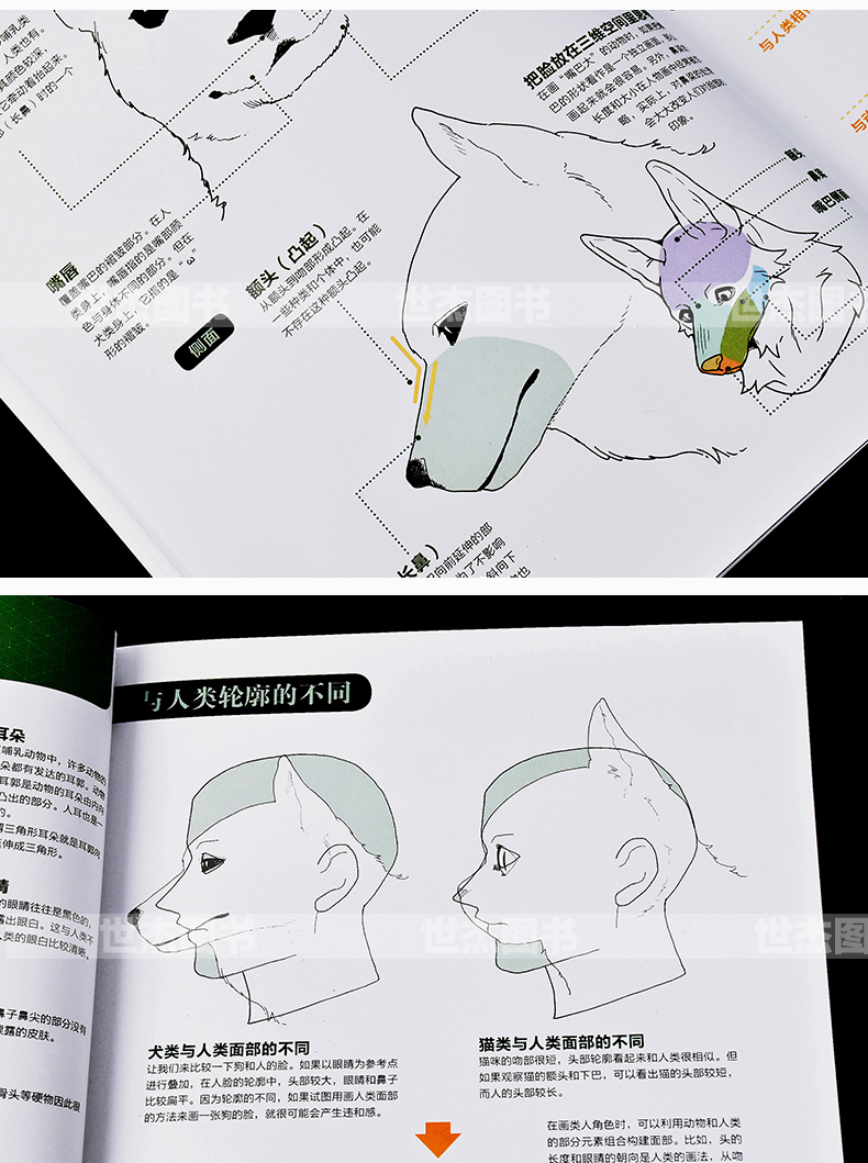 สอนวาดเคโมะKemono เล่ม2