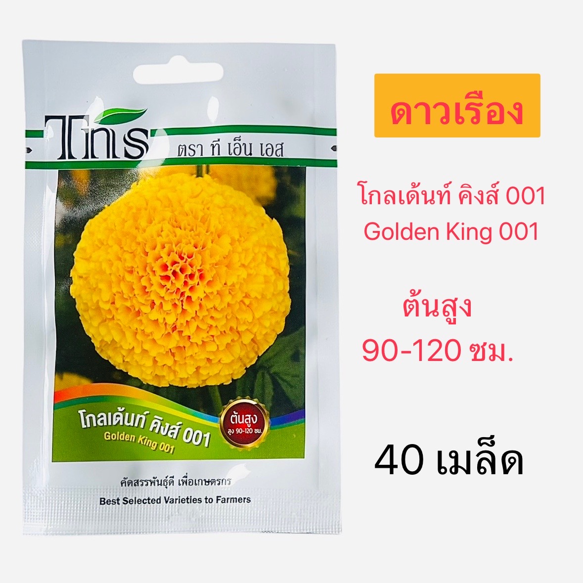 Tns เมล็ด ดาวเรือง โกลเด้นท์ คิงส์ (40เมล็ด)