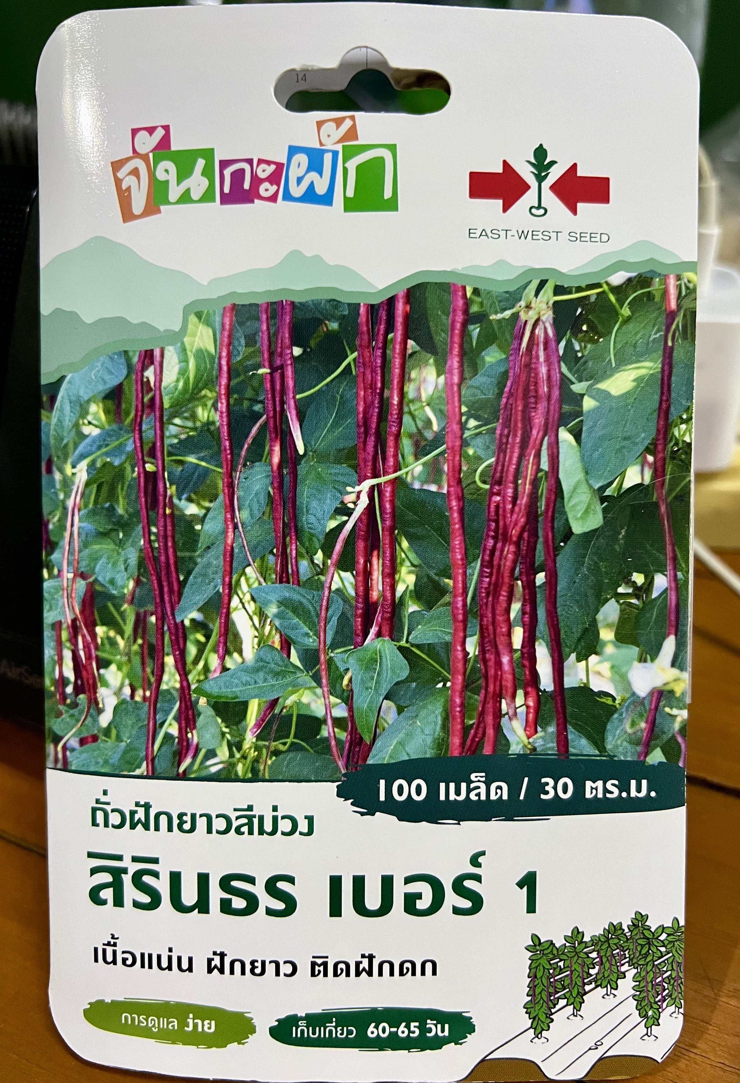 ถั่วฝักยาว สีม่วง สิรินธร 100 เมล็ด