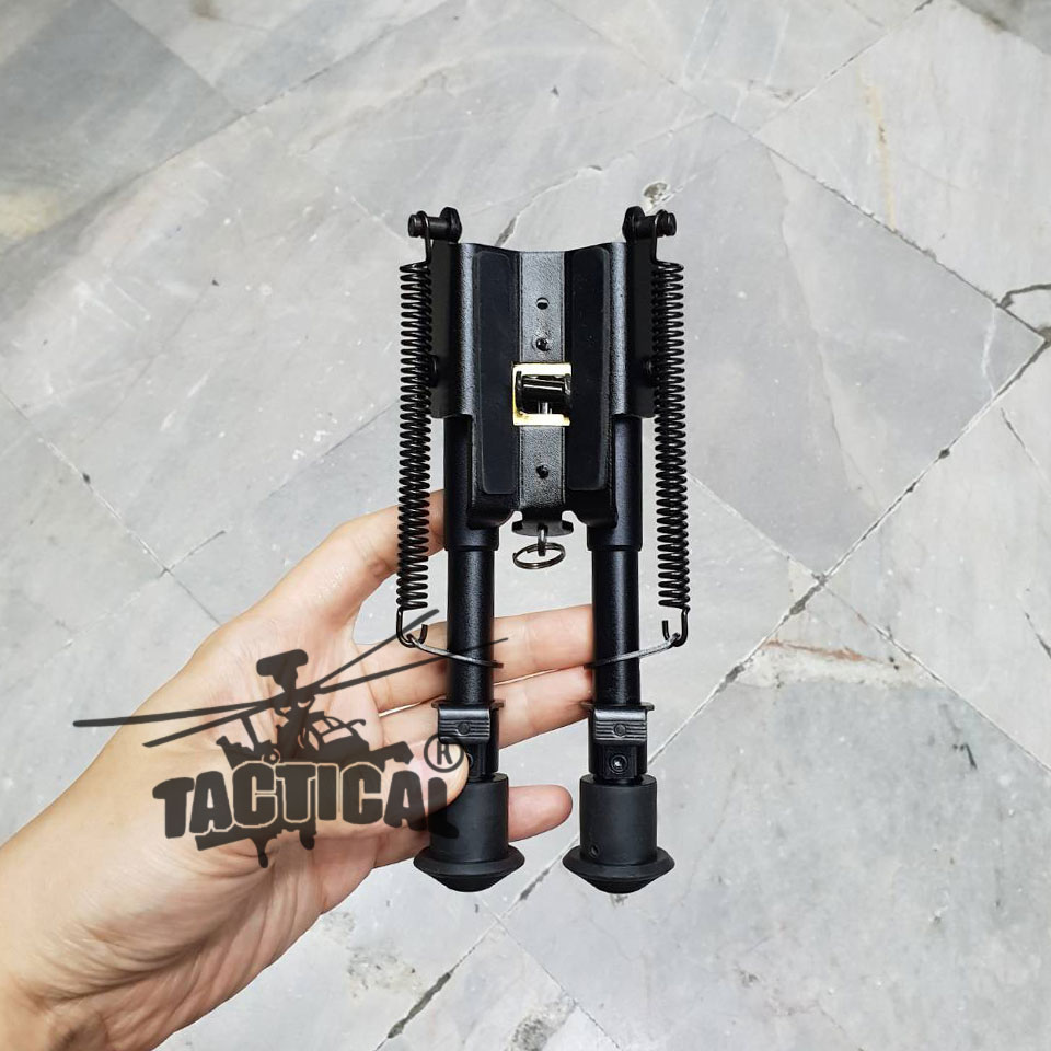 ขาทรายสปริง