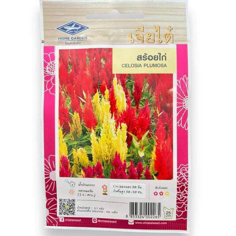 เมล็ดดอกไม้ สร้อยไก่ CELOSIA PLUMOSA (ประมาณ 120 เมล็ด)