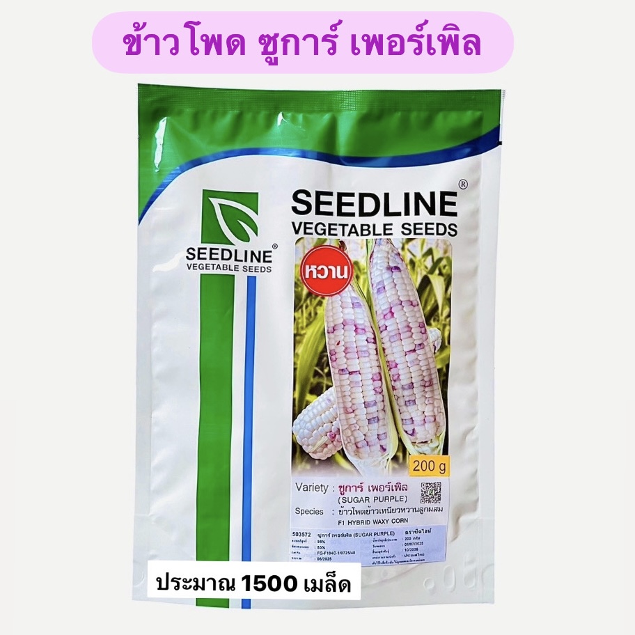 ข้าวโพด ซูการ์ เพอร์เพิล (200 กรัม 1500 เมล็ด)