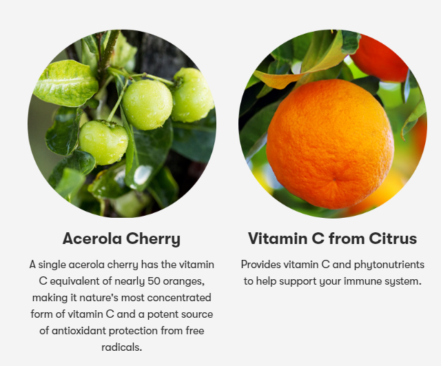 Nutrilite Vitamin C Extended Release วิตามิน ซี 500mg 60 เม็ด ชนิดละลายช้า ช่วยเพิ่มภูมิต้านทานร่างกาย ป้องกันการเป็นหวัด ผิวพรรณสวยใสขึ้น Amway USA