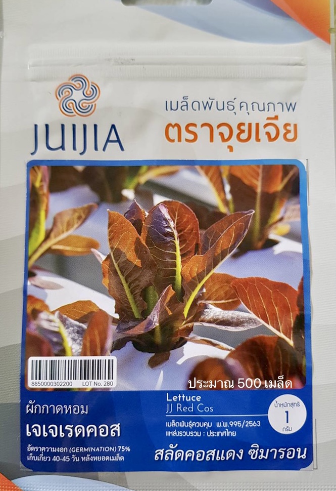 สลัด เรดคอส เจเจ 500เมล็ด