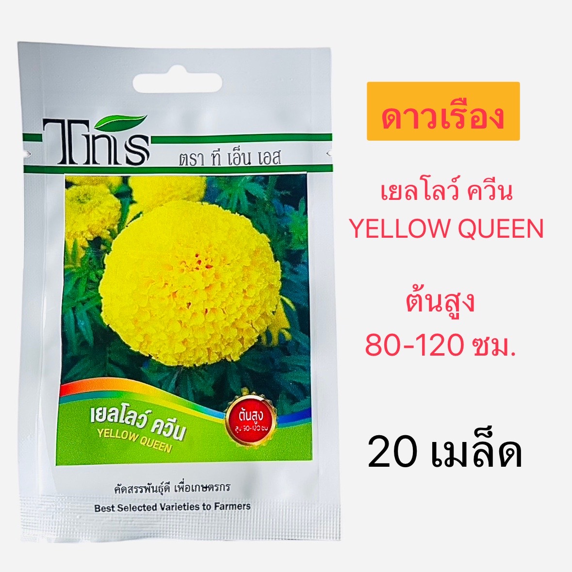 Tns เมล็ด ดาวเรือง เยลโลว์ ควีน (20 เมล็ด)