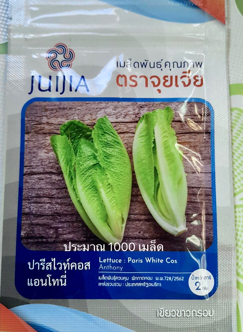 สลัด ไวท์คอส ประมาณ 1000 เมล็ด