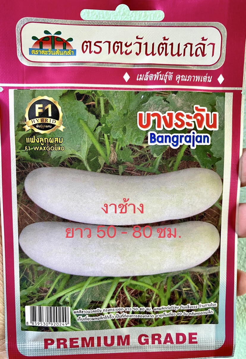 ฟัก แฟง บางระจัน