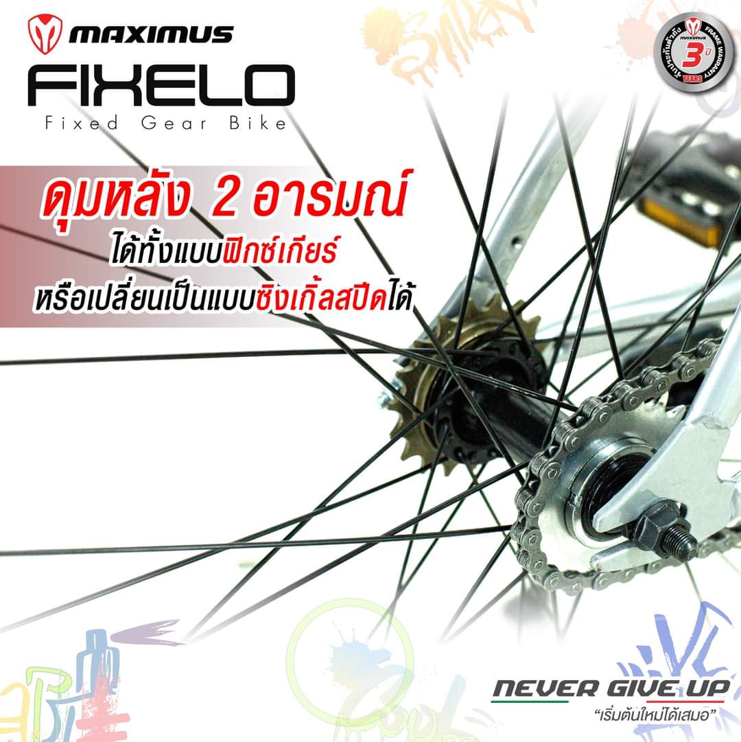จักรยานฟิกเกียร์ Maximus รุ่น Fixelo