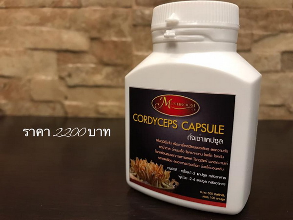 ถั่งเช่า 100% ขนาด 100 capsule (ซื้อ 1 แถม 1)
