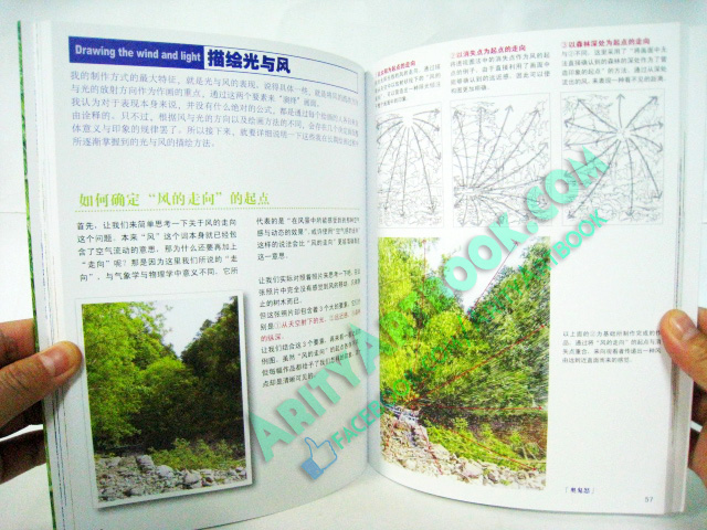 สอนวาดสีไม้