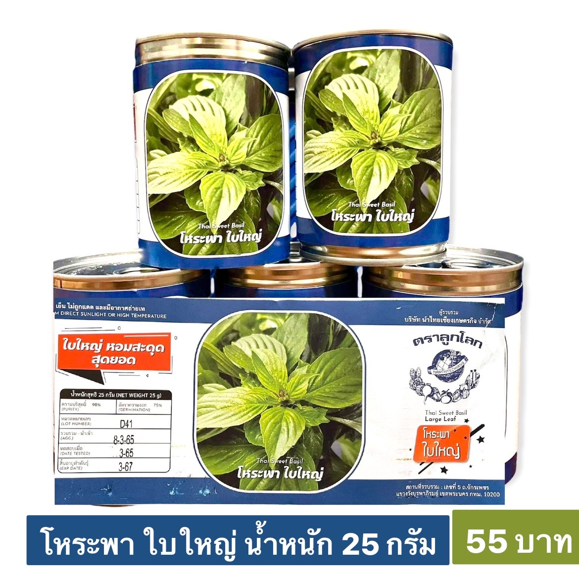 โหระพา ใบใหญ่ กระป๋อง 25 กรัม
