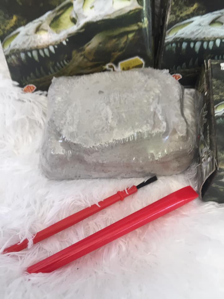 ของเล่นเพื่อการศึกษา DIYขุดฟอสซิลไดโนเสาร์