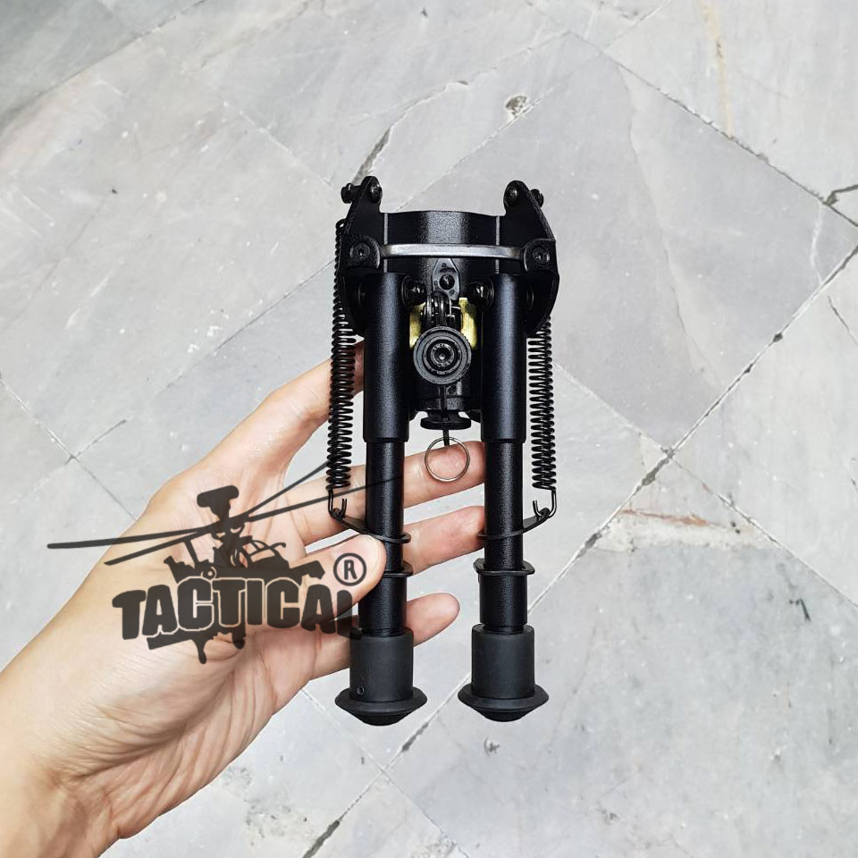 ขาทรายสปริง