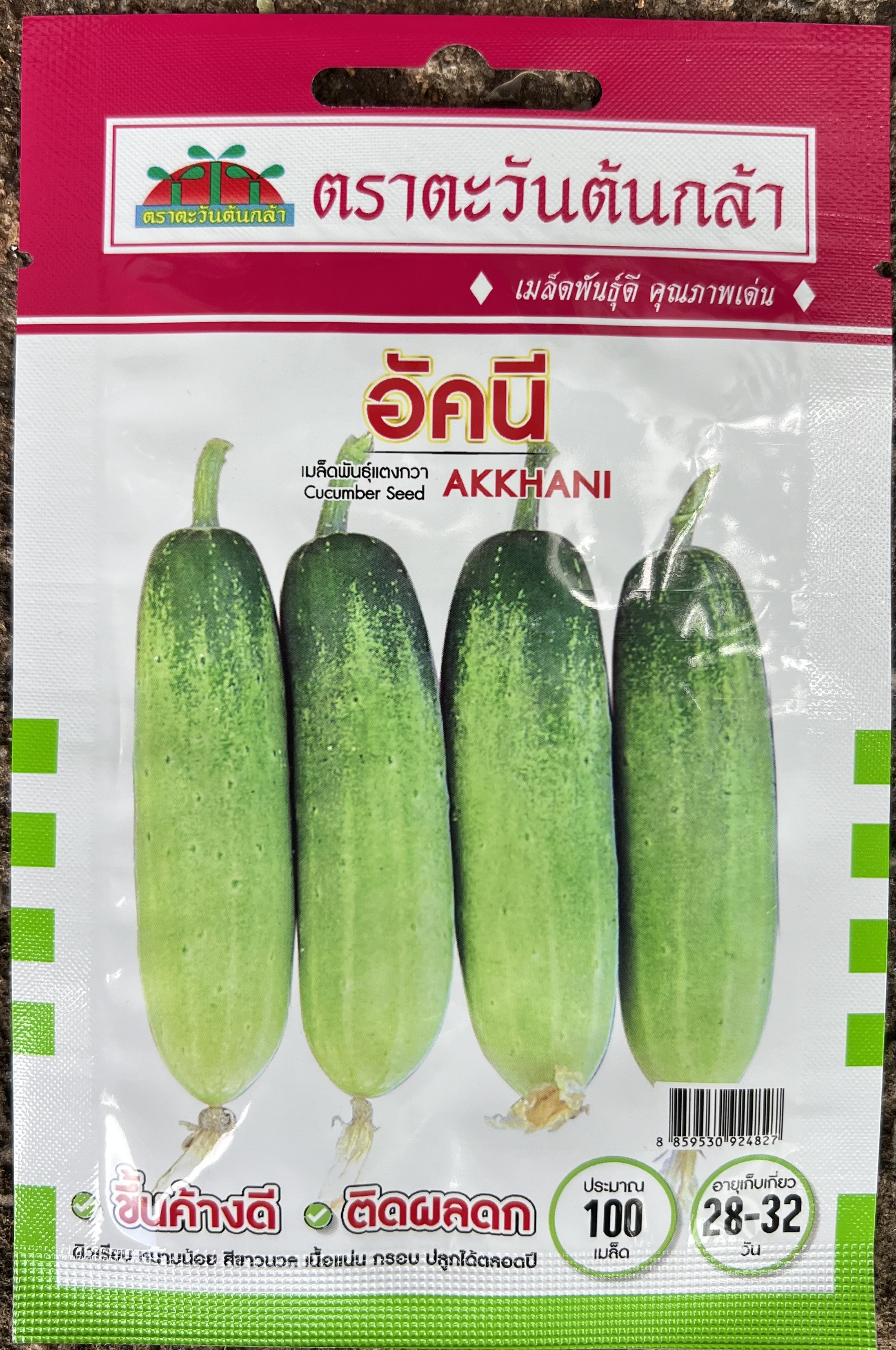 แตงกวา อัคนี (ประมาณ 100 เมล็ด)