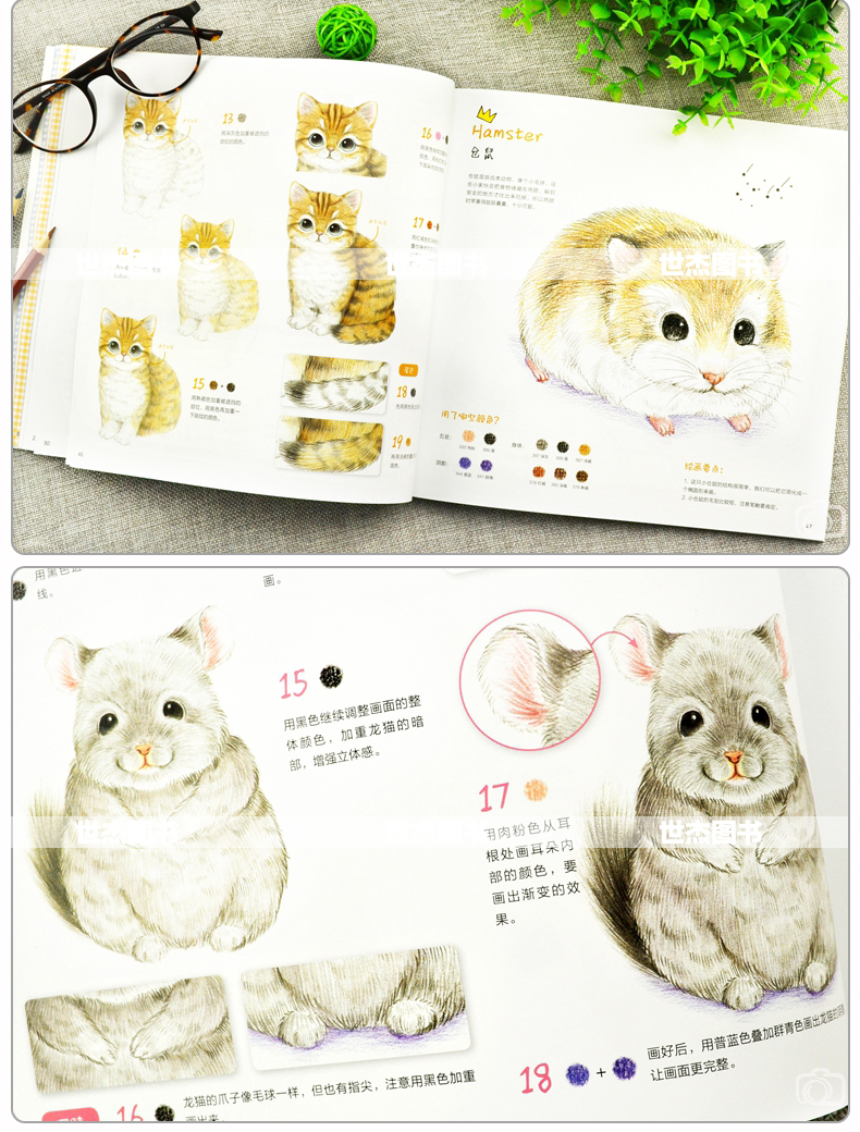 ไม่น่าเชื่อ! แม้แต่คุณเองก็วาดต้าวก้อนน่ารักขนาดนี้ได้ด้วยสีไม้ธรรมดาๆด้วยล่ะค่ะ!!