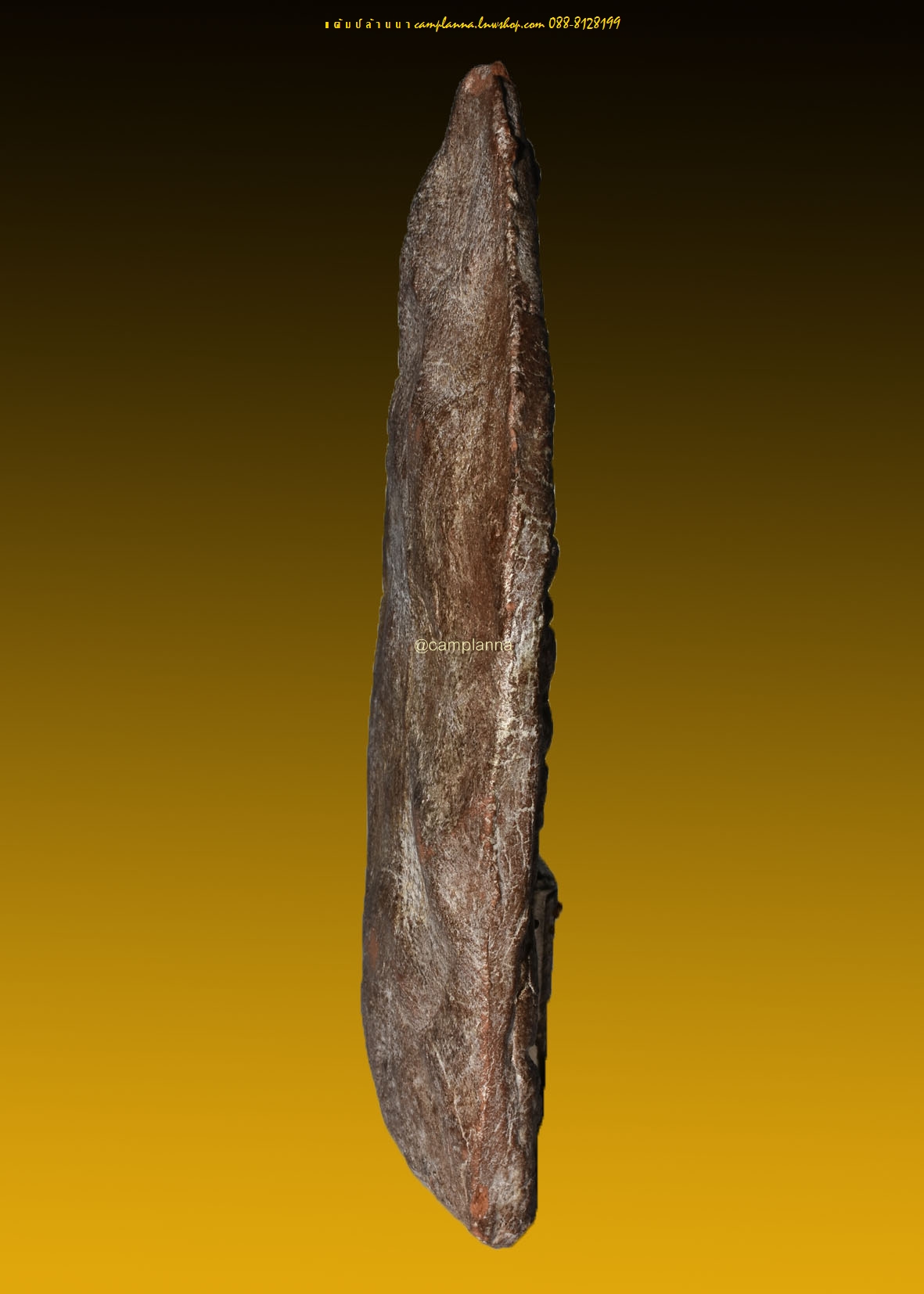 พระลีลาซุ้มแจกัน เนื้อดิน 4.5x11.5 cm งดงามอลังการหายากยิ่งยวดหนึ่งในสยาม