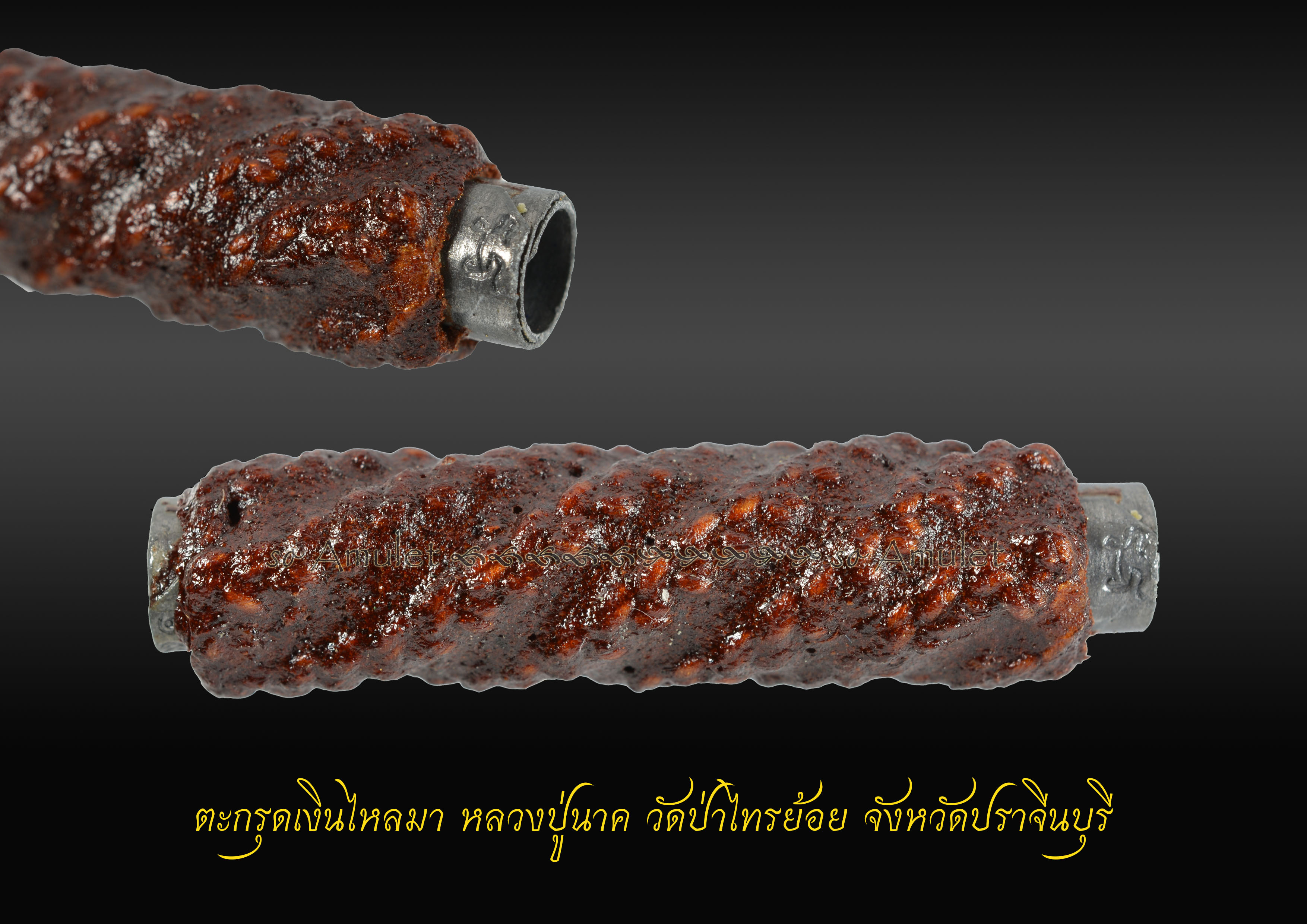 ตะกรุดเงินไหลมา หลวงปู่นาค วัดป่าไทรย้อย จังหวัดปราจีนบุรี