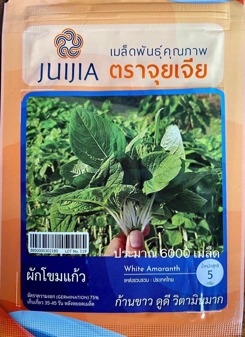 ผักโขม ก้านขาว 5กรัม(6000เมล็ด)