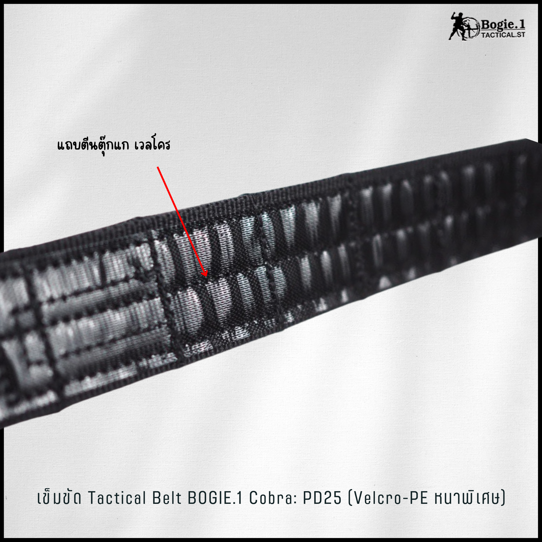 เข็มขัด 2 เส้น หัว Cobra รุ่น PD25