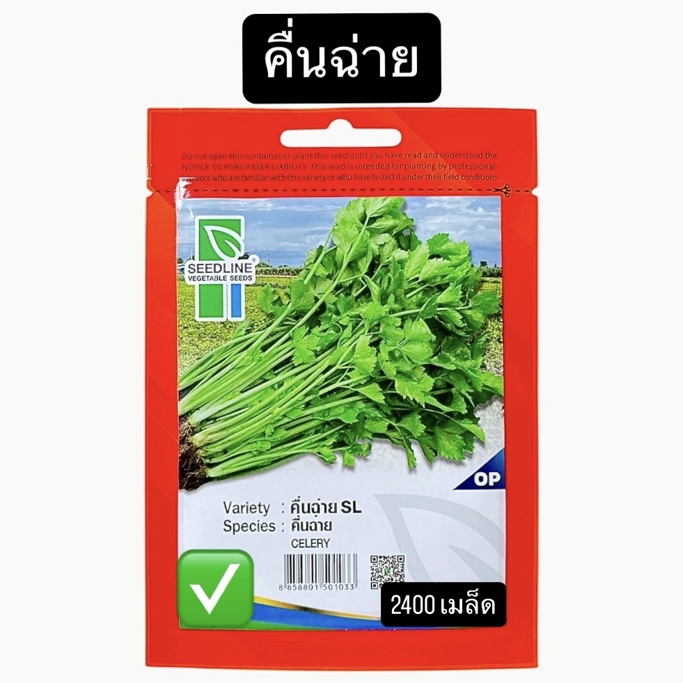 คื่นฉ่าย (2400 เมล็ด)