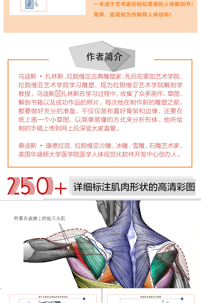 Anatomy for Sculptors by Uldis Zarins หนังสือสอนอนาโตมี่มนุษย์ ฉบับเข้าใจง่ายที่สุดในโลก