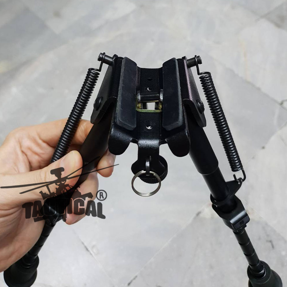 ขาทรายสปริง