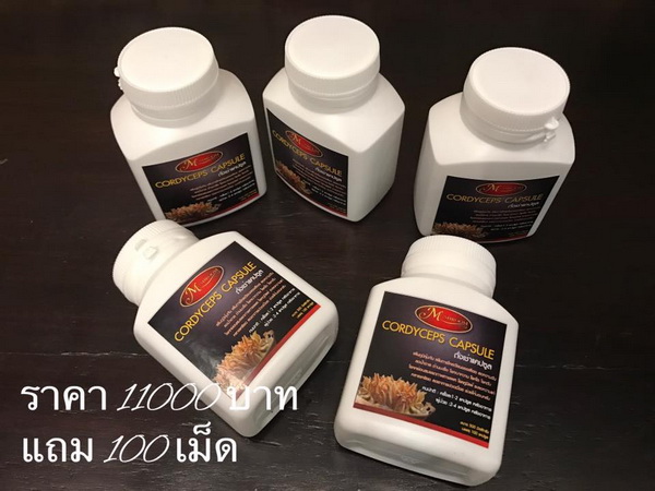ถั่งเช่า 100% 500 แคปซูล ขนาด 500mg. (ซื้อ 1 ชุด (5 กระปุก) แถม 1 ชุด) แถมเพิ่มพิเศษ 3 ขวด รวม 13 ขวด