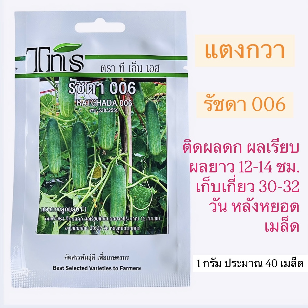 tns แตงกวา รัชดา 006 ยาว 12-14 ซม.(1 กรัม ประมาณ 40 เมล็ด)