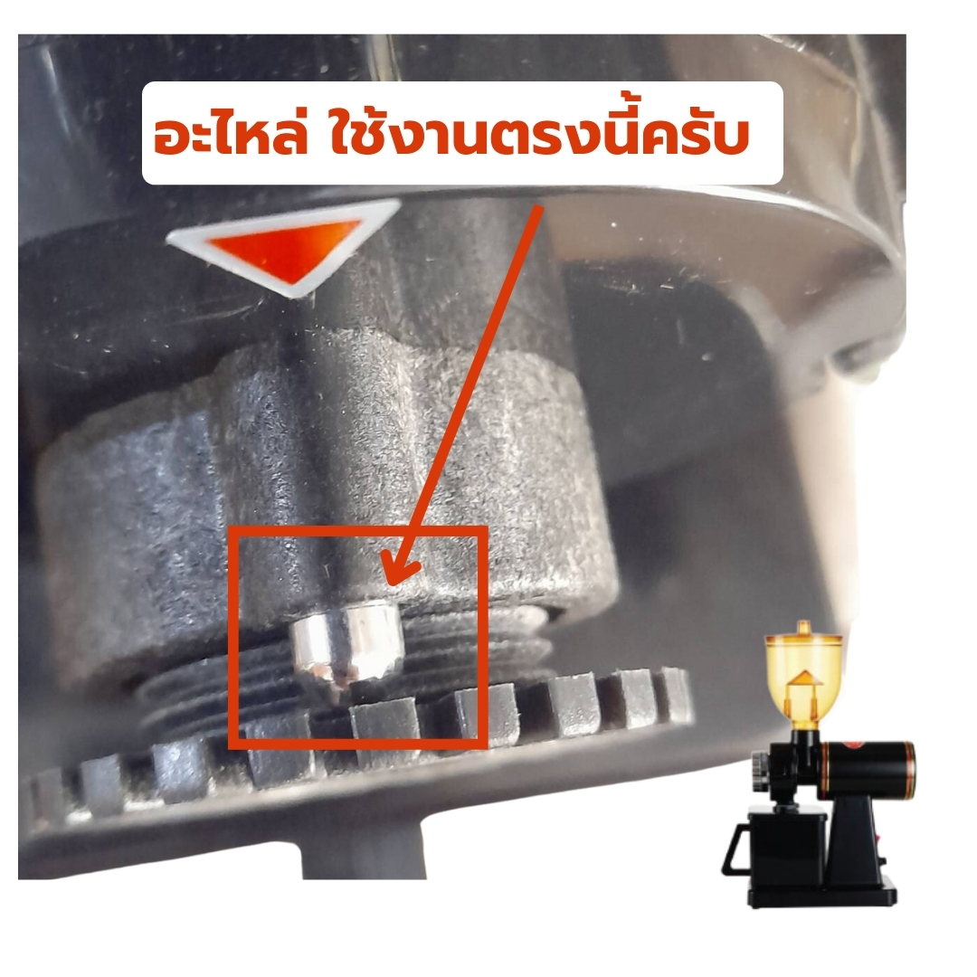 อะไหล่ ตัวดันฟันบดเกลียวหมุนเครื่องบดกาแฟ รุ่น 600n รหัส 2367