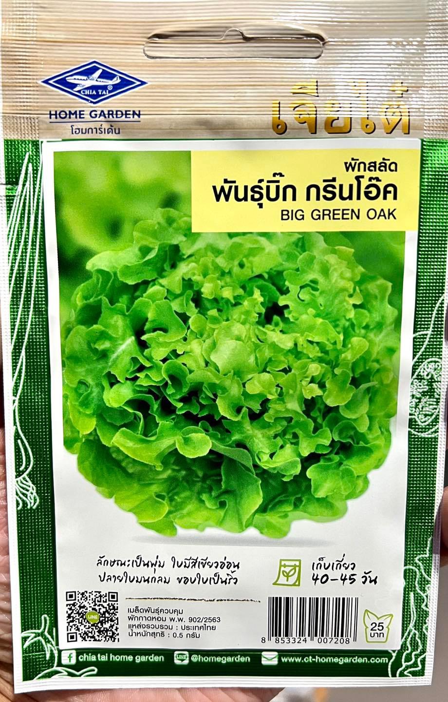 สลัด บิ๊ก กรีนโอ๊ค 500 เมล็ด
