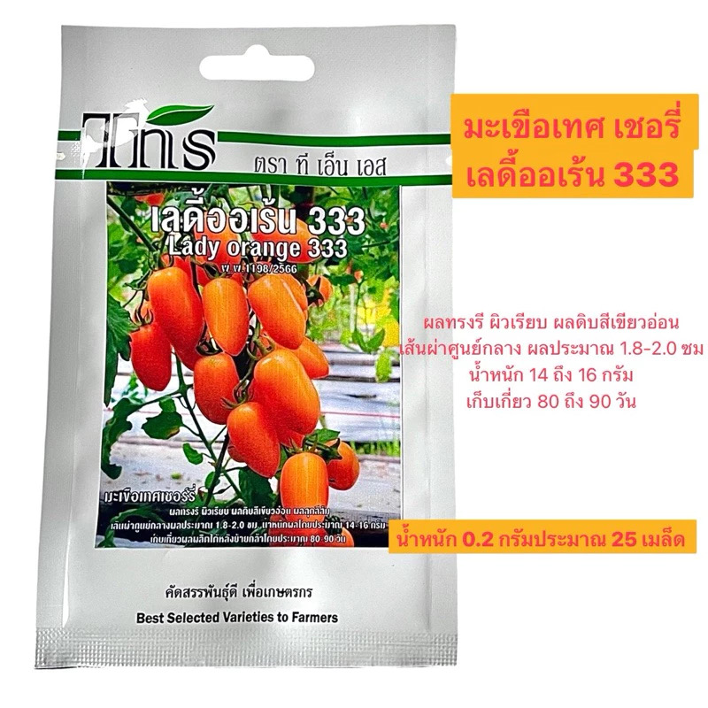 tns เมล็ด มะเขือเทศ ราชินิ เลดี้ออเร้น (ประมาณ 25 เมล็ด)