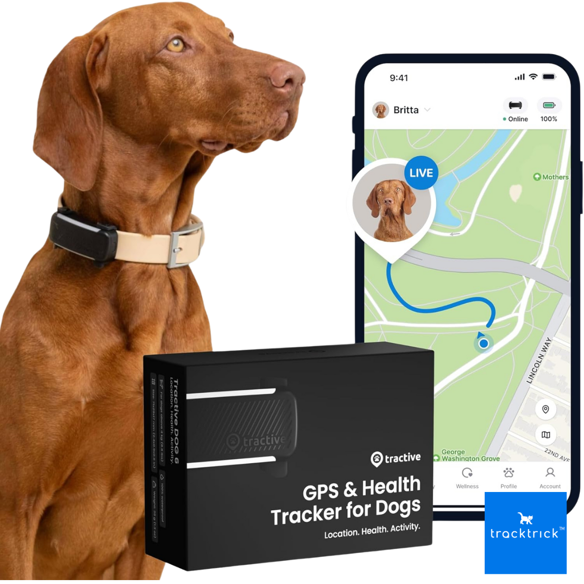Tractive GPS Dog 6 ปลอกคอ GPS สุนัข หมา 4G GPS Tracker Realtime ไม่จำกัดระยะ กันน้ำ จีพีเอสสัตว์เลี้ยง