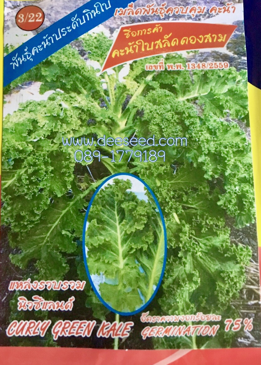 คะน้าเคล kale คะน้าใบสลัด ประมาณ 100เมล็ด