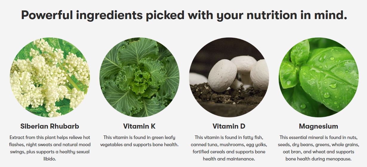 Nutrilite Complete Menopause Support อาหารเสริมสำหรับผู้หญิงวัยทองโดยเฉพาะ สูตรใหม่ Amway USA